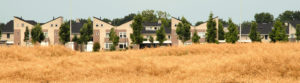 Raalte