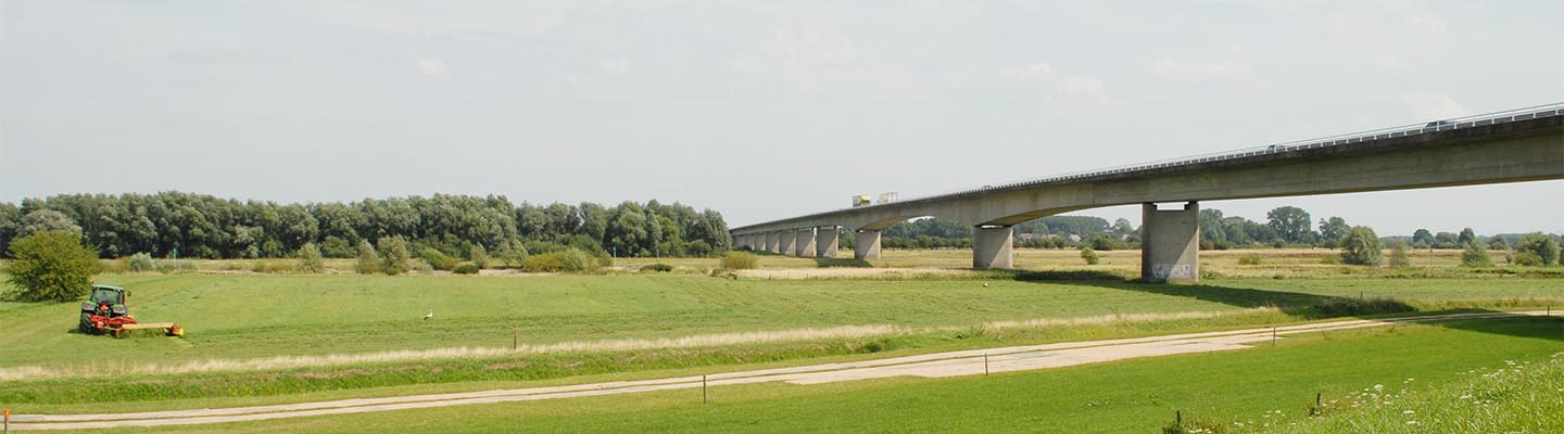 Cortenoever, tussen Zutphen en Brummen